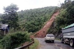 Ảnh minh họa. (Nguồn: TTXVN)