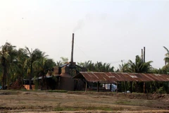 Xã Thạnh Phú Đông hiện có 230 lò than đang hoạt động, ngày đêm xả khí thải ra môi trường. (Ảnh: Trần Thị Thu Hiền/TTXVN)