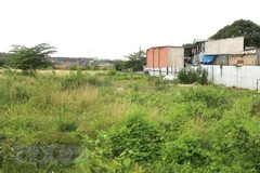 (Ảnh minh họa: Trần Xuân Tình/TTXVN)