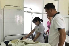 Ảnh minh họa. (Nguồn: TTXVN)