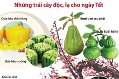 Những trái cây độc, lạ cho ngày Tết Nguyên đán.