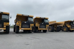 (Nguồn: Cục Cảnh sát giao thông)