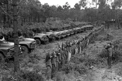 (Ảnh: Quang Triệu/TTXVN)