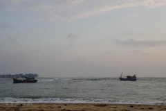 Ảnh minh họa. (Nguồn: TTXVN)