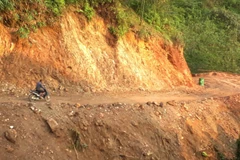 Đường lên dự án chăn nuôi lợn rừng của Công ty Trách nhiệm hữu hạn Một thành viên Tam Phú. (Ảnh: TTXVN)