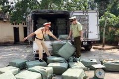 Lực lượng chức năng kiểm đếm số hàng bị bắt giữ. (Ảnh: Thái Thuần/TTXVN)