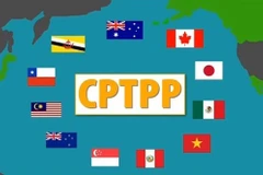 Đâu là những hoài nghi và lo lắng sai lầm về Hiệp định CPTPP?