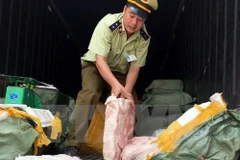 Ảnh minh họa. (Nguồn: TTXVN)