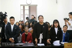 Nguyên đơn là Công ty cổ phần Tuần Châu Hà Nội và bị đơn là Công ty DS do đạo diễn Việt Tú (đứng thứ nhất bên trái) làm giám đốc. (Ảnh: Doãn Tấn/TTXVN)