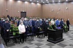 Các bị cáo nghe toà tuyên án. (Ảnh: Phạm Kiên/TTXVN)