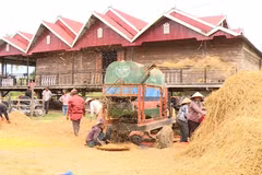 Nhiều gia đình người dân tộc thiểu số tại huyện Krông Pa (Gia Lai) đã có đời sống khá giả nhờ nguồn vốn từ các chương trình mục tiêu Quốc gia. (Ảnh: Hồng Điệp/TTXVN)