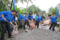 Chiến dịch tình nguyện 2015: Tự hào tiến bước dưới cờ Đảng