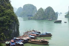 Quảng Ninh: Du lịch biển đảo báo hiệu một "mùa gặt" thành công