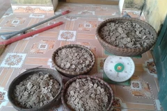 Toàn bộ số tiền lấy ra từ chum cân được 50kg. (Ảnh: Hoàng Tưởng-Nguyễn Vũ/Vietnam+)