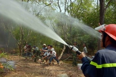 Tăng cường phòng cháy chữa cháy rừng ở Vườn Quốc gia Tràm Chim