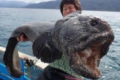 Anh Hiroshi khoe chiến lợi phẩm của mình. (Nguồn: Twitter)