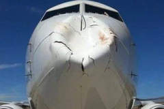 Máy bay bị chim đâm móp mũi, hành khách may mắn thoát chết 