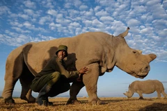 Nhìn lại những khoảnh khắc đẹp của các loài động vật tuần qua