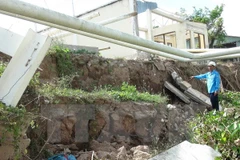 Ảnh minh họa. (Nguồn: Văn Trí/TTXVN)