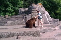 Người đàn ông đánh con gấu. (Nguồn: CEN)