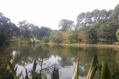 Một góc Vườn Thực vật Singapore. (Nguồn: Việt Hải/Vietnam+)