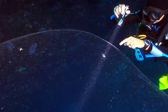 Quả cầu bí ẩn. (Nguồn: Vimeo) 