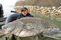 [Photo] Hai anh em sinh đôi bắt được con "thủy quái" khổng lồ