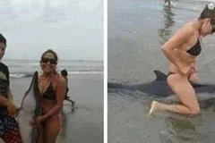 Cặp đôi bị lên án vì hành hạ chú cá heo tội nghiệp ở bãi biển