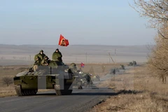 100 công dân Đức tham chiến bên phía lực lượng ly khai ở Ukraine