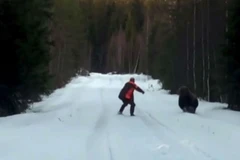 [Video] Người đàn ông dũng cảm hù dọa con gấu, thoát chết thần kỳ