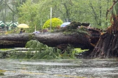 Khung cảnh tan hoang do bão Goni gây ra. (Nguồn: Reuters)