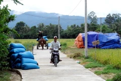 Một tuyến đường ở thôn Mỹ Thành, xã Hòa Thắng, huyện Phú Hòa vừa được bêtông hóa. (Ảnh: Thế Lập/TTXVN)