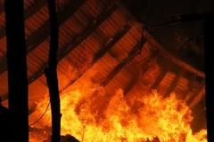 Hỏa hoạn thiêu trụi dãy nhà kho của công ty sản xuất giày da 