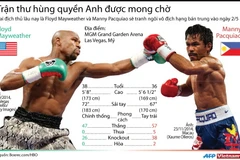 [Infographics] Trận quyền Anh đắt giá nhất trong lịch sử thế giới