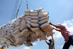 Hình chỉ mang tính minh họa. (Nguồn: TTXVN)