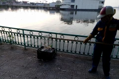 Các công nhân làm việc không ngơi tay từ sáng 2/10 nhưng lượng cá chết trên mặt hồ vẫn còn rất nhiều. (Ảnh: Việt Phương/Vietnam+)