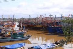 Tàu thuyền ngư dân trong tỉnh Quảng Trị và nhiều tỉnh thành khác đã neo đậu an toàn tại khu neo đậu tránh trú bão xã Triệu An, huyện Triệu Phong. (Ảnh: Hồ Cầu/TTXVN)