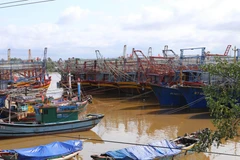 Tàu thuyền ngư dân trong tỉnh Quảng Trị và nhiều tỉnh thành khác đã neo đậu an toàn tại khu neo đậu tránh trú bão xã Triệu An, huyện Triệu Phong. (Ảnh: Hồ Cầu/TTXVN)