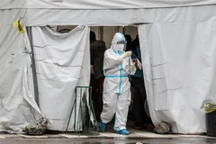 Nhân viên y tế làm việc tại một điểm xét nghiệm ở Manila, Philippines, ngày 5/8/2020. (Ảnh: THX/TTXVN)