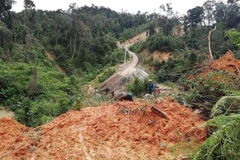 (Ảnh minh họa: TTXVN phát)