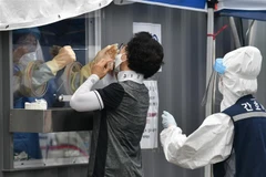 Nhân viên y tế lấy mẫu xét nghiệm COVID-19 cho người dân tại Seoul, Hàn Quốc ngày 26/8/2020. (Ảnh: AFP/TTXVN)