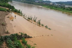 Lũ trên sông Hồng dâng cao gây ngập lụt nhiều diện tích hoa màu của người dân Lào Cai vào tháng 7/2020. (Ảnh: Hồng Ninh/TTXVN)