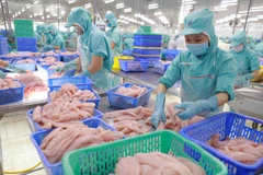 Chế biến cá tra philê xuất khẩu. (Ảnh minh họa: Vũ Sinh/TTXVN)