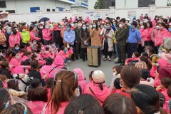 Đối thoại với công nhân ngừng việc tập thể tại Công ty trách nhiệm hữu hạn Vienergy (Ninh Bình). (Ảnh: Đức Phương/TTXVN)