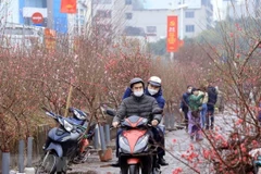 Chính phủ đã quyết định phương án nghỉ Tết Quý Mão năm 2023. (Ảnh minh hoạ: Tuấn Anh/TTXVN)