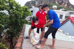 Hội Chữ thập đỏ thành phố Đà Nẵng giúp dân chằng chống nhà cửa ứng phó với bão số 4. (Ảnh: TTXVN) 