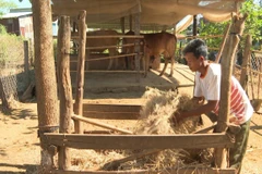 (Ảnh minh hoạ: TTXVN)