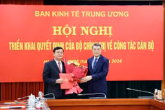 Phó Trưởng Ban Kinh tế Trung ương Thái Thanh Quý khẳng định luôn nỗ lực cao nhất để hoàn thành nhiệm vụ được giao, nêu cao tinh thần trách nhiệm để tiếp cận nhanh với công việc được phân công. (Ảnh: BKTTW/Vietnam+)