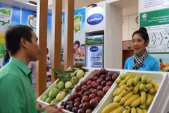 Trong quý 1, Cơ quan Thuế tiếp nhận và xử lý được 7,12 tỷ hóa đơn điện tử. (Ảnh: Vietnam+)