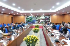 Thứ trưởng Bộ Tài chính Võ Thành Hưng đã có buổi tiếp và làm việc với ông Paulo Medas, Trưởng Đoàn tham vấn Điều khoản IV của Quỹ Tiền tệ quốc tế, ngày 26/6. (Ảnh: BTC/Vietnam+)
